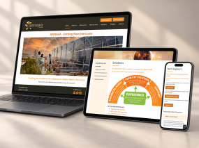 Annasa Holdings Wesbite